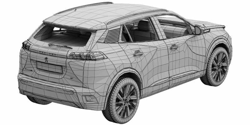 peugeot_20089g