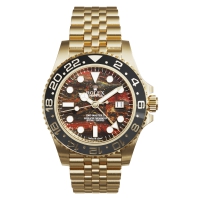 Photo Rolex GMT-Master II tiger iron 3