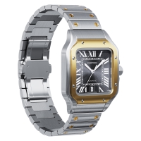 Photo Cartier Santos De Cartier Watch CRW2SA0030 5