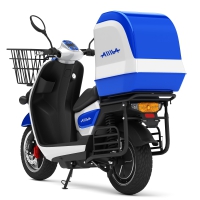 Photo Electric scooter AIMA Bird 3