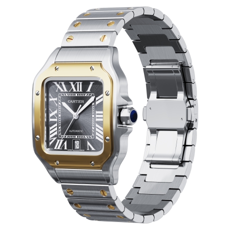 Photo Cartier Santos De Cartier Watch CRW2SA0030