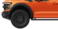Photo Ford F-150 Raptor 2021 13
